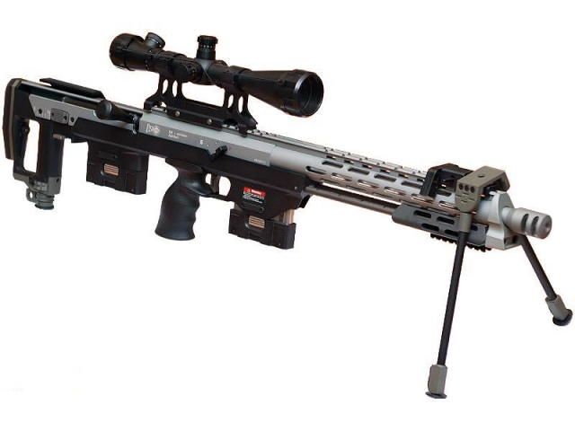 Снайперская винтовка DSR-1