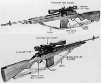 Снайперская винтовка M21